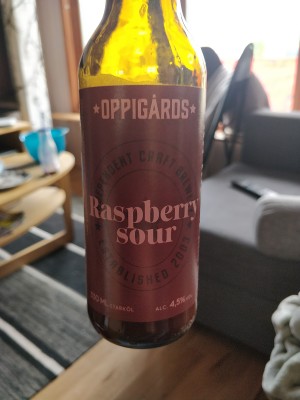 AndySnow's photo of Raspberry Sour
