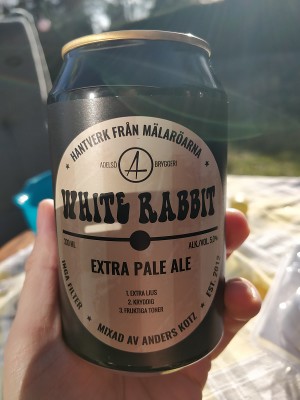 AndySnow's photo of White Rabbit