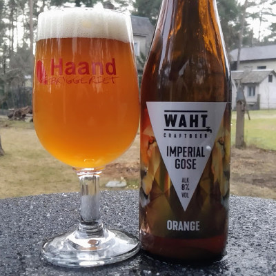 visionthing's photo of Imperial Gose Orange