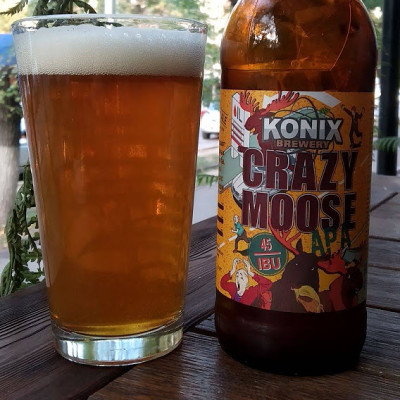visionthing's photo of APA Crazy Moose
