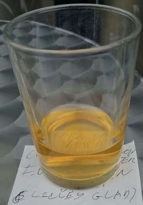 Deanso's photo of Gladiator (Draught)