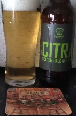 Deanso's photo of Citra