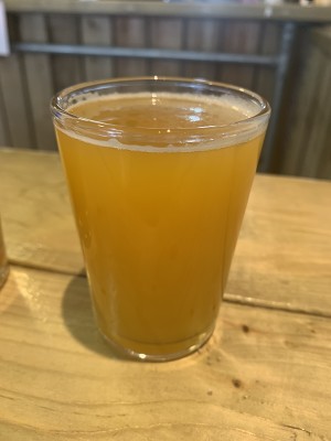 Mr_Pink_152's photo of Mango Ice Cream Pale