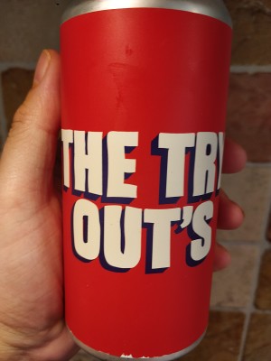 AndySnow's photo of The Try Out's - American Pale Ale