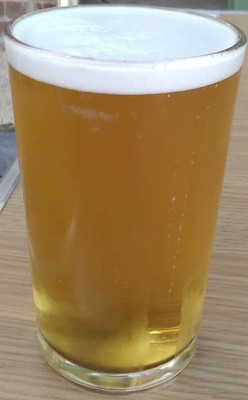 Deanso's photo of Session IPA - Amarillo Cascade Columbus