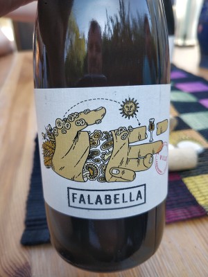 AndySnow's photo of Falabella (Vild)