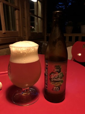 Borresteijn's photo of DDH Desitka