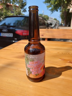 Alzzila's photo of New England Pale Ale