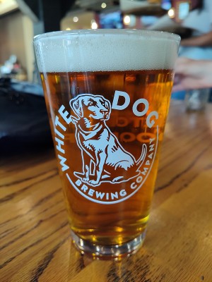 stevoj's photo of Pale Ale