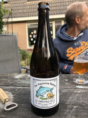 Borresteijn's photo of Curimba III