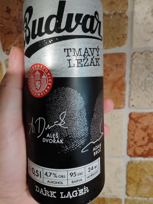 AndySnow's photo of Tmavý Ležák (Dark Lager)