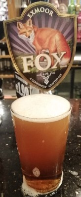 Deanso's photo of Fox