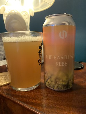Mr_Pink_152's photo of The Earth Will Rebel