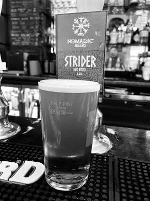 jimgreen's photo of Strider