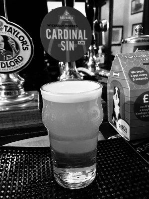 jimgreen's photo of Cardinal Sin