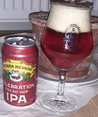 potjebier's photo of Celebration (2021)
