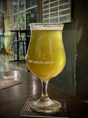 jimgreen's photo of 45 Days Organic Pilsner