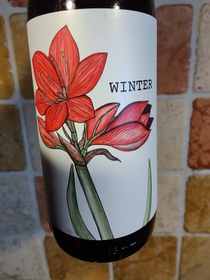 AndySnow's photo of Winter