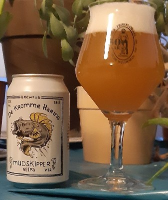 potjebier's photo of Mudskipper V12