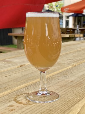 jimgreen's photo of Exmouth IPA