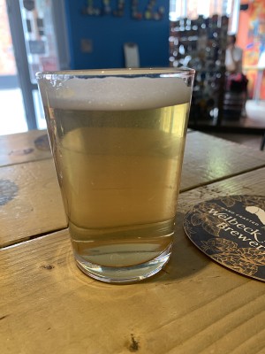 Mr_Pink_152's photo of Delver’s Drop IPA