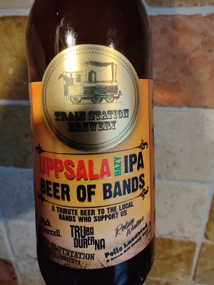 AndySnow's photo of Beer of Bands