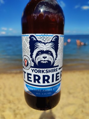 AndySnow's photo of Yorkshire Terrier (Bottle)