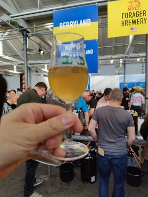 AndySnow's photo of Hopped Apple Cider