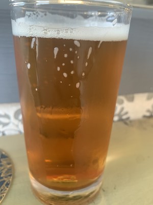 Mr_Pink_152's photo of Sesh IPA