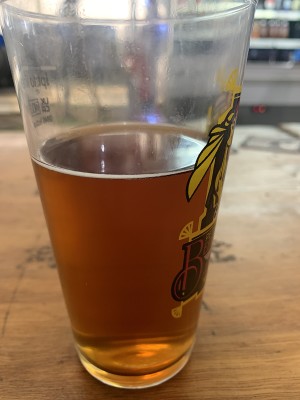 Mr_Pink_152's photo of Shannon IPA