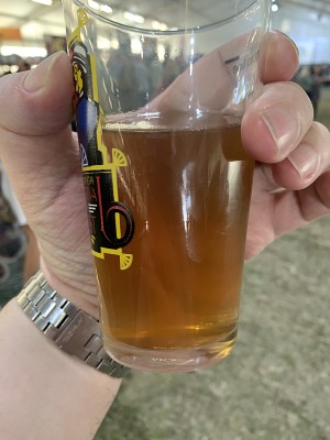 Mr_Pink_152's photo of Mosquito IPA