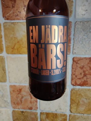 AndySnow's photo of En Jädra Bärs!