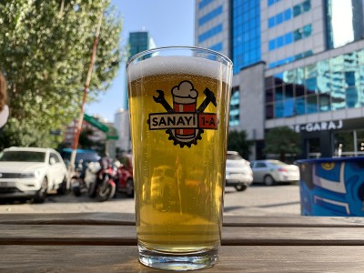 Kermis's photo of Summer Wheat