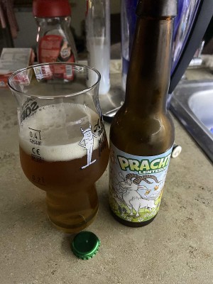 Szeppp's photo of Pracht Lentebok