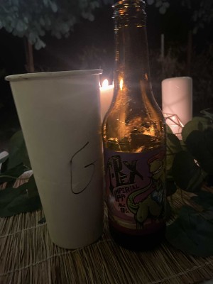 Szeppp's photo of T-Rex