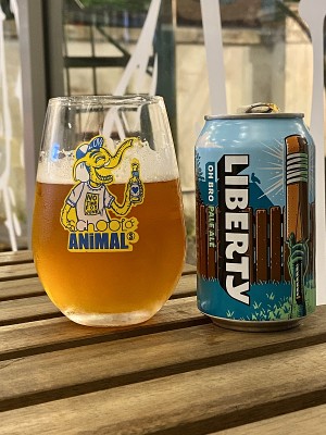 jimgreen's photo of Oh Bro Pale Ale