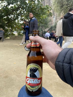 Szeppp's photo of Gallo