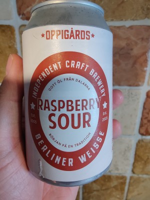 AndySnow's photo of Raspberry Sour 2.0