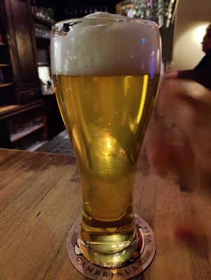 AndySnow's photo of Pivo 12° Nefiltrované