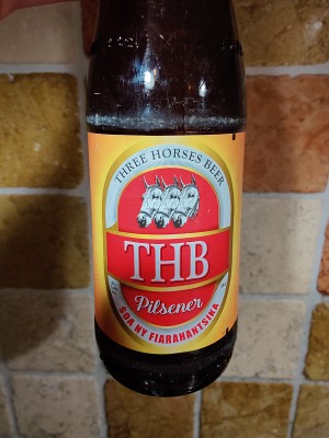 AndySnow's photo of THB Pilsener (5.4%)