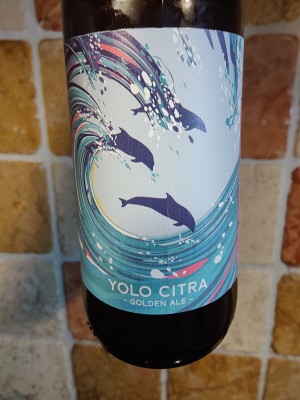 AndySnow's photo of YOLO Citra