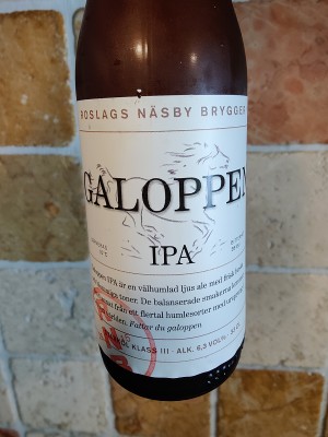 AndySnow's photo of Galoppen