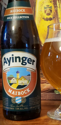 drpimento's photo of Maibock