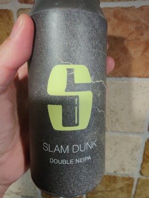 AndySnow's photo of Slam Dunk