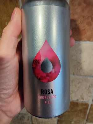 AndySnow's photo of Rosa