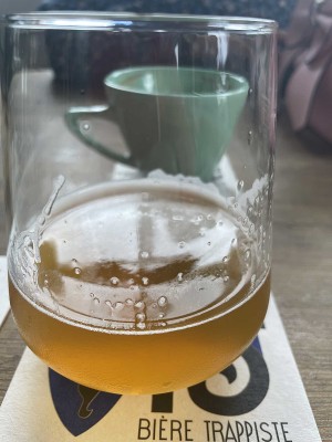 Mr_Pink_152's photo of Zapatapale - Citra Cryo