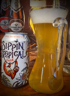 drpimento's photo of Sippin' Tropical