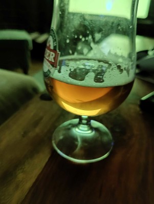 AndySnow's photo of Maibock