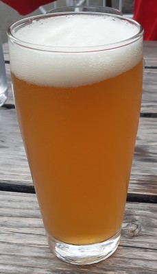 potjebier's photo of Mother IPA