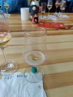 AndySnow's photo of Domesticated Saison